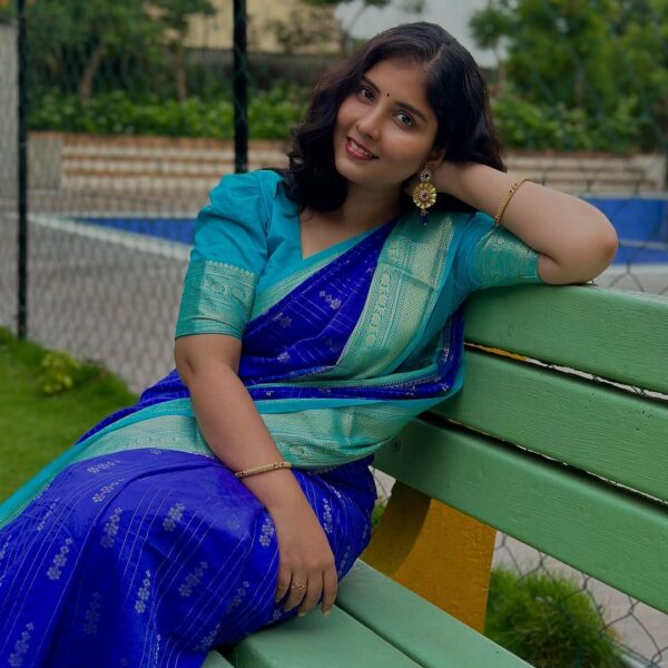 Warm Silk Saree